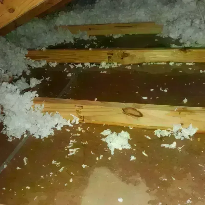 Attic Water Damage in Oberlin, OH